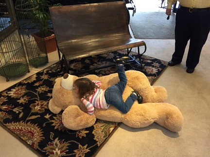 Greta attacking the bear at Good s Furniture5